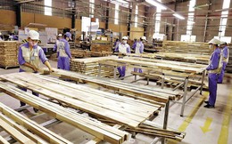 Xuất khẩu gỗ và sản phẩm gỗ Việt Nam sang Mỹ trong 6 tháng đạt 4,6 tỷ USD