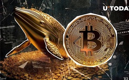 Giá Bitcoin hôm nay 30/7: Giao dịch Bitcoin lớn nhất lịch sử vừa hoàn tất