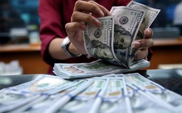 Tỷ giá USD hôm nay 29/7: Tỷ giá trung tâm tăng 24 đồng