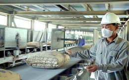 Xi măng, clinker Việt Nam chịu mức thuế chống bán phá giá từ 13,59% - 23,20%