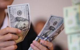 Tỷ giá USD hôm nay 8/7: Tỷ giá trung tâm tăng 8 đồng