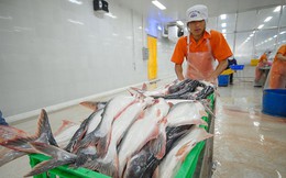 Cần xác định nội địa là thị trường tiêu thụ chiến lược cho ngành hàng cá tra