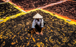 Hơn 100 quốc gia tranh nhau mua ,"vàng đen" của Việt Nam thống lĩnh thị trường Mỹ