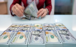 Tỷ giá USD hôm nay 10/9: Tỷ giá trung tâm giảm 15 đồng