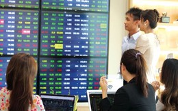 Hơn 257.000 tài khoản giao dịch chứng khoán được mở mới trong tháng 8