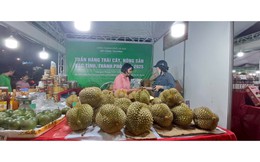 Hà Nội: Khai mạc tuần hàng trái cây và nông sản 2025