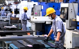 Nhà máy 80 triệu USD của Việt Nam gấp rút sản xuất "vàng lỏng": Tiến vào thị trường 114 tỷ USD