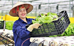 Hà Nội: Đẩy mạnh ứng dụng mô hình kinh tế tuần hoàn
