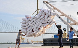Bộ Công Thương lên phương án ứng phó việc Philippines tạm dừng nhập khẩu gạo