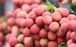 Xuất khẩu vải thiều lập kỷ lục mới