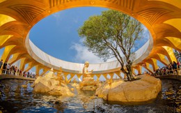 Chuyện ít biết về cây sung cổ bên tượng Phật Câu Na Hàm Mâu Ni trên núi Bà Đen