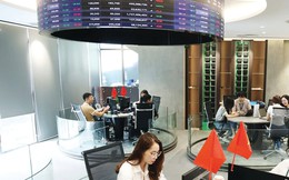 Nhà đầu tư cá nhân trở thành yếu tố nền tảng giúp TTCK duy trì đà tăng mạnh