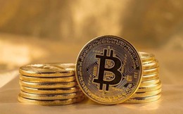 Giá Bitcoin hôm nay 17/1: Mức độ tìm kiếm thấp nhất 12 tháng 