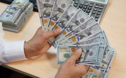 Hơn 10,3 tỷ USD kiều hối về TPHCM trong năm 2025