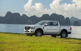 Doanh số xe bán tải động cơ đốt trong cao nhất trong 5 năm qua