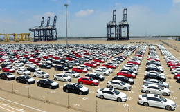 Cả nước nhập khẩu 5.598 xe ô tô nguyên chiếc trong nửa đầu tháng 1/2026