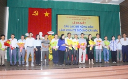 Vĩnh Long: Xã Phước Mỹ Trung ra mắt Câu lạc bộ Nông dân làm kinh tế giỏi