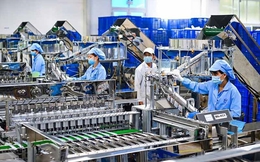 Việt Nam có gần 300.000 doanh nghiệp gia nhập và quay lại thị trường năm 2025