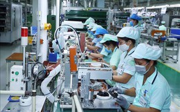 Thu nhập bình quân của người lao động trong năm 2025 đạt 8,4 triệu đồng/tháng