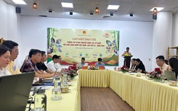 Doanh nghiệp, chủ thể OCOP của 18 tỉnh, thành phố tham dự Hội chợ Làng nghề Việt Nam lần thứ 22