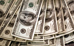Tỷ giá USD hôm nay 12/10: Tỷ giá trung tâm giảm 8 đồng