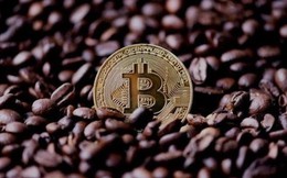 Giá Bitcoin hôm nay 14/10: Đỉnh mới của Bitcoin sẽ xuất hiện trong 8 tháng tới
