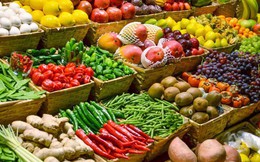 Xuất khẩu rau quả đạt 7,28 tỷ USD, tăng gần 19% so với cùng kỳ