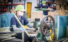 Cận cảnh quy trình "đóng băng" cây mía tươi xuất ngoại