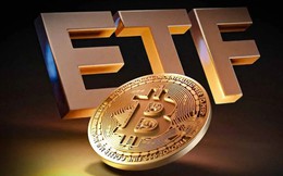 Giá Bitcoin hôm nay 19/10: Các ETF Bitcoin bị rút ròng 228,6 triệu USD