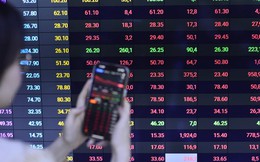 75% cổ phiếu trên thị trường chứng khoán giảm giá 