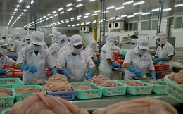 VEFTA mở rộng cơ hội xuất khẩu, thúc đẩy chuỗi cung ứng thủy sản Việt Nam