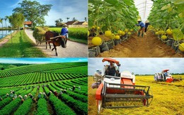 Hà Nội: Doanh thu hợp tác xã phấn đấu đạt 3,8 tỷ đồng/năm