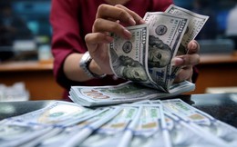 VND ngược dòng tăng khoảng 1,12% so với USD