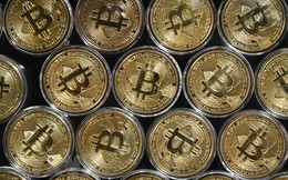 Giá Bitcoin hôm nay 14/2: Bitcoin rơi vào “vùng đầu hàng”