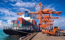 Kim ngạch nhập khẩu hàng hóa từ Anh năm 2025 đạt 991,3 triệu USD, tăng 12,5%