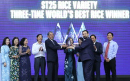 Gạo ST25 đón nhận cúp Gạo ngon nhất thế giới năm 2025
