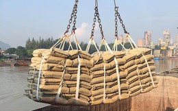 Xuất khẩu xi măng và clinker trong tháng 1/2026 tăng gần 70%