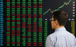 UBCK yêu cầu rà soát tư cách công ty đại chúng đối với doanh nghiệp Nhà nước