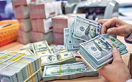 Khi dòng tiền kiều hối Bắc Trung Bộ tìm về “điểm neo” tích sản mới và tâm điểm sắc Xuân tại ROX Living Aquamarine