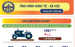Tháng 1/2026, kinh tế Việt Nam tiếp tục duy trì xu hướng tăng trưởng