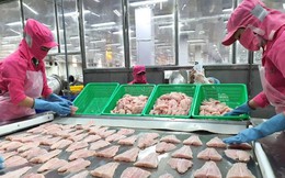 Xuất khẩu cá tra tăng mạnh ngay trong tháng đầu năm