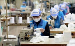 Việt Nam chi 5,73 tỷ USD mua bông, xơ, sợi trong năm 2025