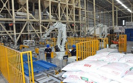 Cục Chăn nuôi và Thú y đưa ra hai kịch bản về giá thức ăn chăn nuôi ở Việt Nam