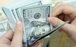 Tỷ giá USD hôm nay 14/3: Tỷ giá trung tâm đi ngang