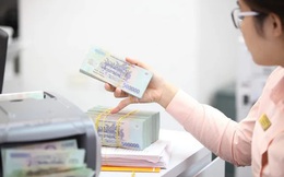 Đa dạng kênh huy động vốn để đạt mục tiêu tăng trưởng 2 con số