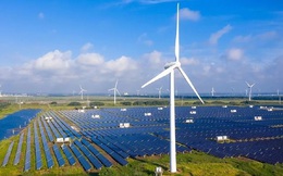 Phấn đấu đến năm 2030, công suất sản xuất hydrogen xanh đạt 100 - 200 nghìn tấn/năm