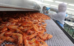 Xuất khẩu công nghệ chế biến - bước tiến mới trong chuỗi giá trị 