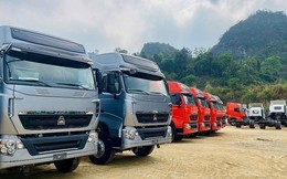 Nửa đầu tháng 2, cả nước nhập khẩu hơn 21.700 ô tô nguyên chiếc