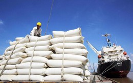 Xuất khẩu gạo chịu nhiều áp lực từ biến động thị trường