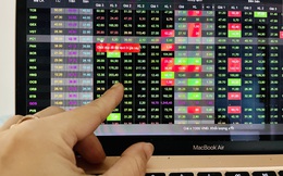 Ngân hàng và Bất động sản được dự báo là động lực chính thúc đẩy tăng trưởng lợi nhuận sàn HoSE